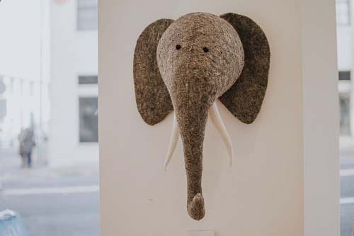 portland gray elephant head figure hanging on wall elephant